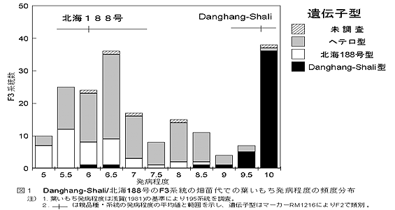 図1  Danghang-Shali/北海188号のF3系統の畑苗代での葉いもち発病程度の頻度分布