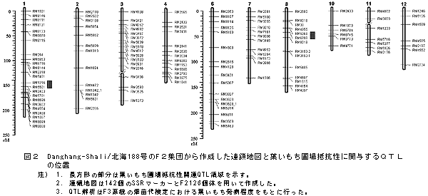 図2 Danghang-Shali/北海188号のF2集団から作成した連鎖地図と葉いもち圃場抵抗性に関与するQTLの位置