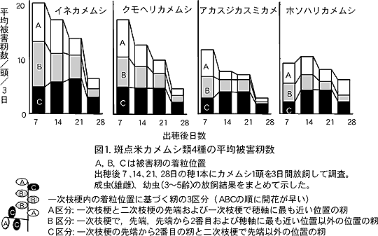 図1. 斑点米カメムシ類4種の平均被害籾数