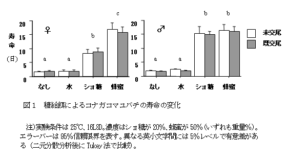 図1 糖給餌によるコナガサムライコマユバチの寿命の変化