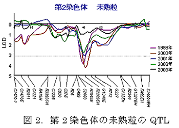 図2.第2 染色体の未熟粒のQTL