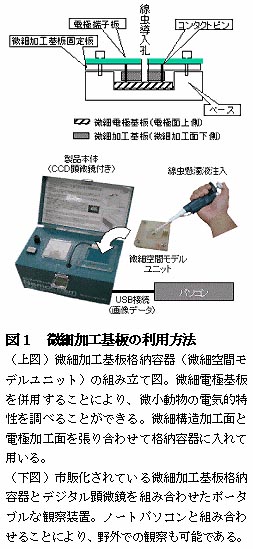 図1 微細加工基板の利用方法