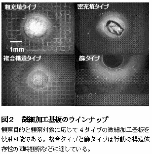 図2 微細加工基板のラインナップ