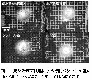 図3 異なる表面状態による行動パターンの違い