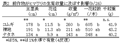 表2 前作物がヒマワリの生育収量に及ぼす影響