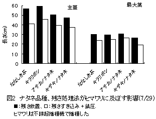 図2 ナタネ品種、残さ処理法がヒマワリに及ぼす影響