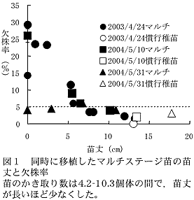 図1 同時に移植したマルチステージ苗の苗丈と欠株率、出穂期に与える影響