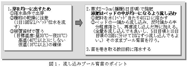 図1 流し込みプール育苗のポイント