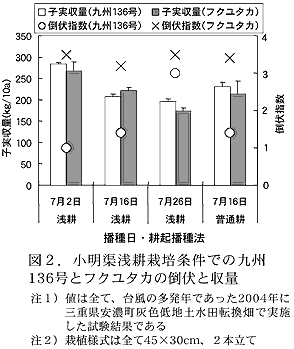 図2 小明渠浅耕栽培条件での九州136号とフクユタカの倒伏と収量