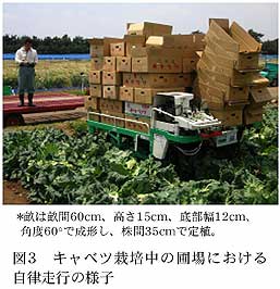 図3 キャベツ栽培中の圃場における自律走行の様子
