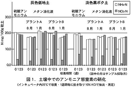 図1 土壌中でのアンモニア態窒素の硝化