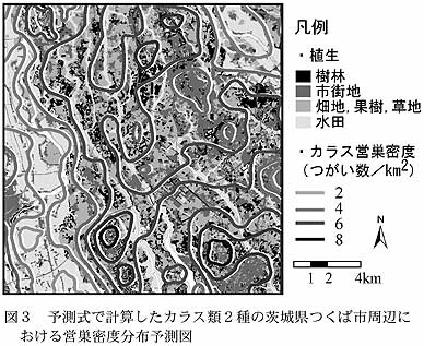 図3 予測式で計算したカラス類2種の茨城県つくば市周辺における営巣密度分布予測図