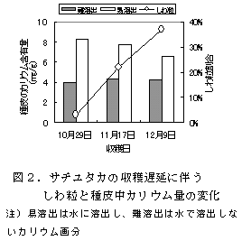 図2.サチユタカの収穫遅延に伴うしわ粒と種皮中カリウム量の変化