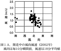 図1A. 開花中の風向風速(2002年)