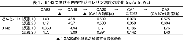 表1 B142における内在性ジベレリン濃度の変化