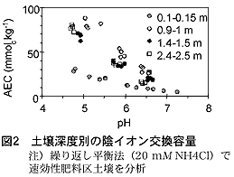 図2 土壌深度別の陰イオン交換容量