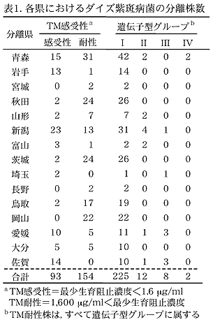 表1 各県におけるダイズ紫斑病菌の分離株数