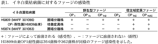 表1. イネ白葉枯病菌に対するファージの感染性