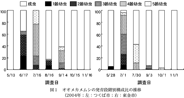 図1 オオメカメムシの発育段階別構成比の推移 (2004年;左:つくば市;右:東金市)