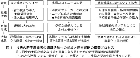 図1 N氏の若手農業者の組織活動への参加と経営戦略の構築プロセス