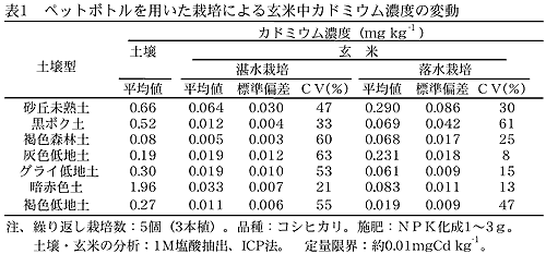 表1 ペットボトルを用いた栽培による玄米中カドミウム濃度の変動