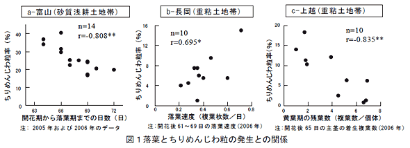 図1落葉とちりめんじわ粒の発生との関係