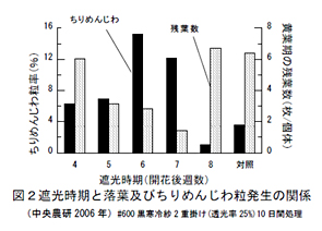 図2遮光時期と落葉及びちりめんじわ粒発生の関係