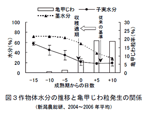 図3作物体水分の推移と亀甲じわ粒発生の関係