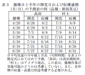 表3 播種日と平年の開花日および収穫適期