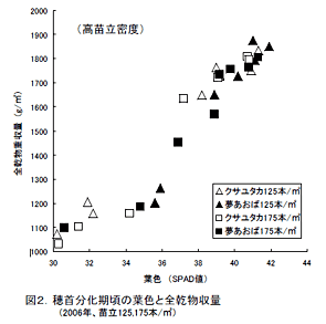 図2.穂首分化期頃の葉色と全乾物収量(2006年、苗立125,175本/m2)