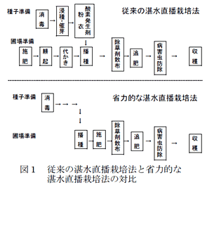 図1 従来の湛水直播栽培法と省力的な湛水直播栽培法の対比