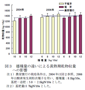 図3 播種量の違いによる黄熟期乾物収量への影響