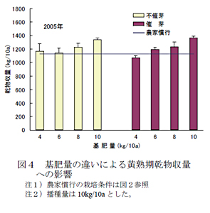 図4 基肥量の違いによる黄熟期乾物収量への影響