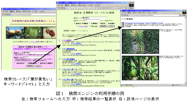 図1 検索エンジンの利用手順の例