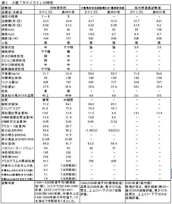 表1.小麦「タマイズミ」の特性