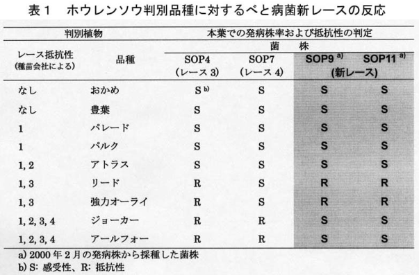 表1.ホウレンソウ判別品種に対するべと病菌新レースの反応