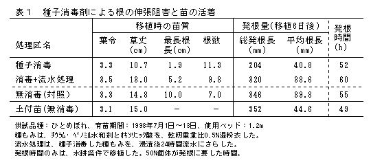 表1 種子消毒剤による根の伸張阻害と苗の活着