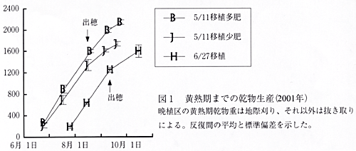 図1 黄熟期までの乾物生産