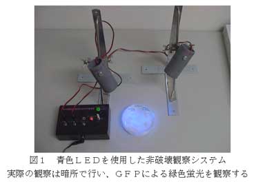 図1 青色LEDを使用した非破壊観察システム