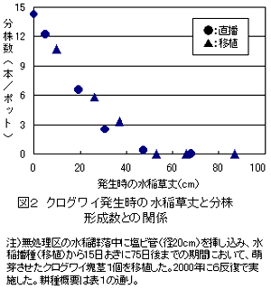 図2 クログワイ発生時の水稲草丈と分株形成数との関係