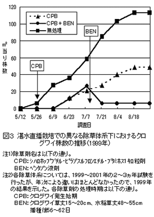 図3 湛水直播栽培での異なる除草体系下におけるクロ グワイ株数の推移(1999年)