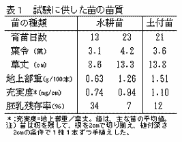 表1 試験に供した苗の苗質
