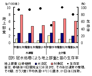 図5 冠水処理による地上部重と苗の生存率