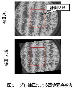 図3 ズレ補正による画像変換事例