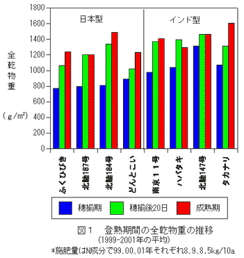 図1.登熟期間の全乾物重の推移