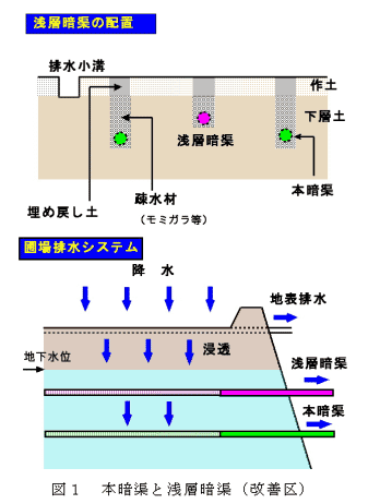 図1 本暗渠と浅層暗渠