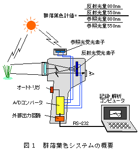 図1 群落葉色システムの概要