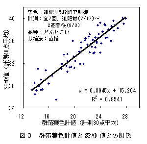 図3 群落葉色計値とSPAD 値との関係