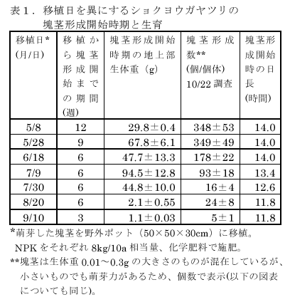 表1.移植日を異にするショクヨウガヤツリの塊茎形成開始時期と生育