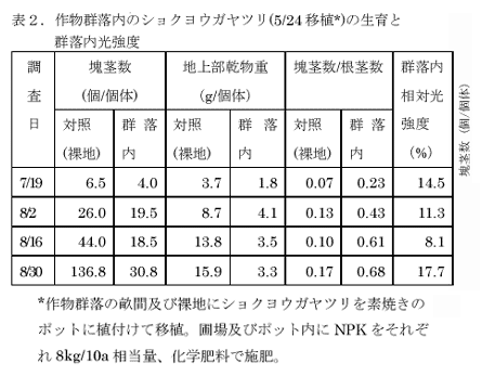 表2.作物群落内のショクヨウガヤツリ(5/24移植)の生育と群落内光強度